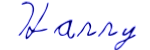 font image