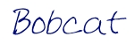 font image