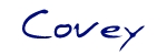 font image