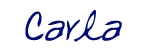font image
