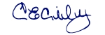 font image