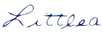 font image