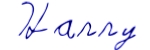 font image